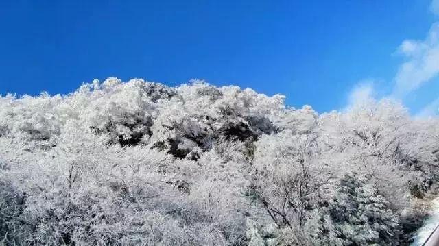 欧洲卡车模拟2