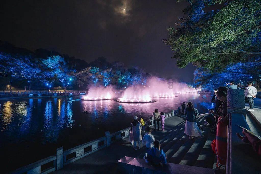 牛油果面包