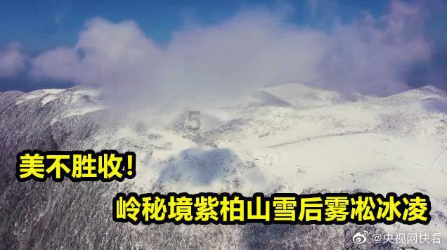 全民剧本大师内置菜单