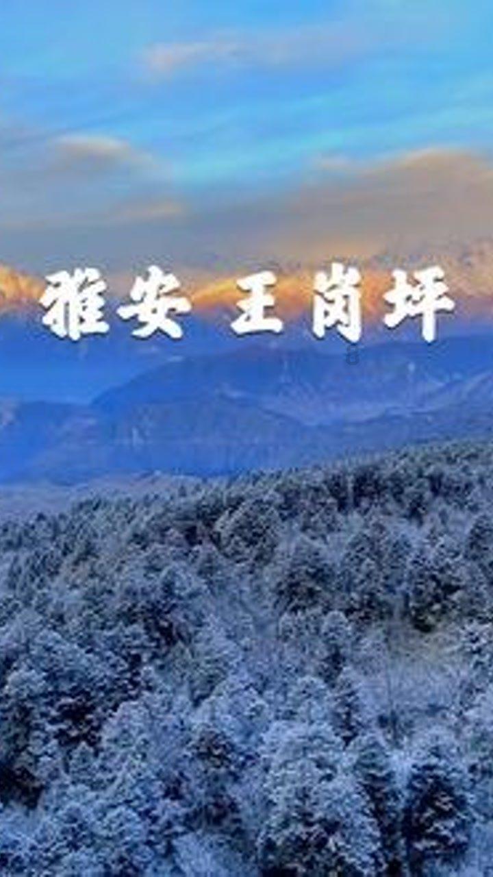 异度之刃2