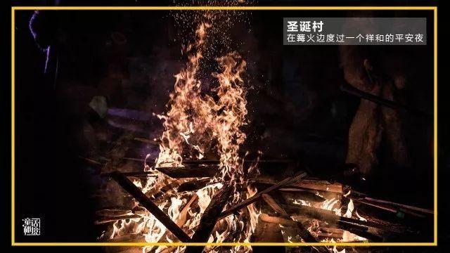 逃离金色蜜蜂森林