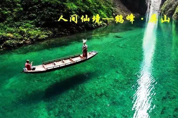 动物帮帮忙保卫家园