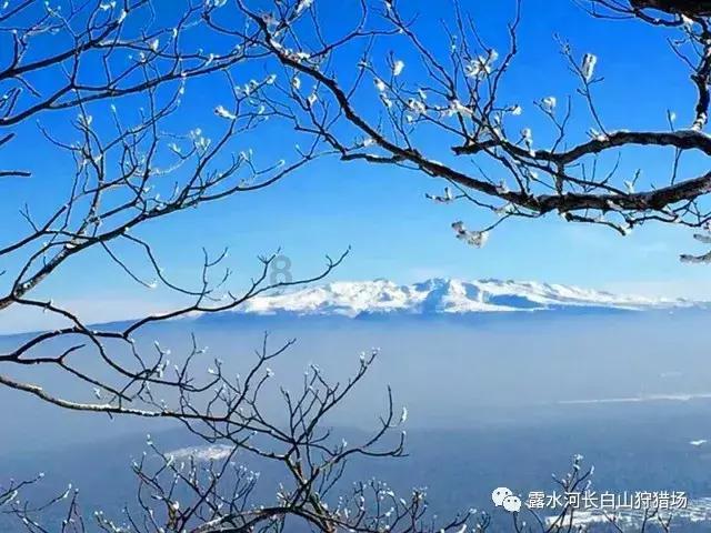 首版《重庆市中药材标准》发布,包括具体标准138个