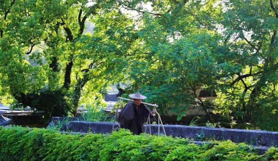 儿媳受伤成植物人，婆婆悉心护理500多天后苏醒，你羡慕这种婆媳关系吗？游戏画面