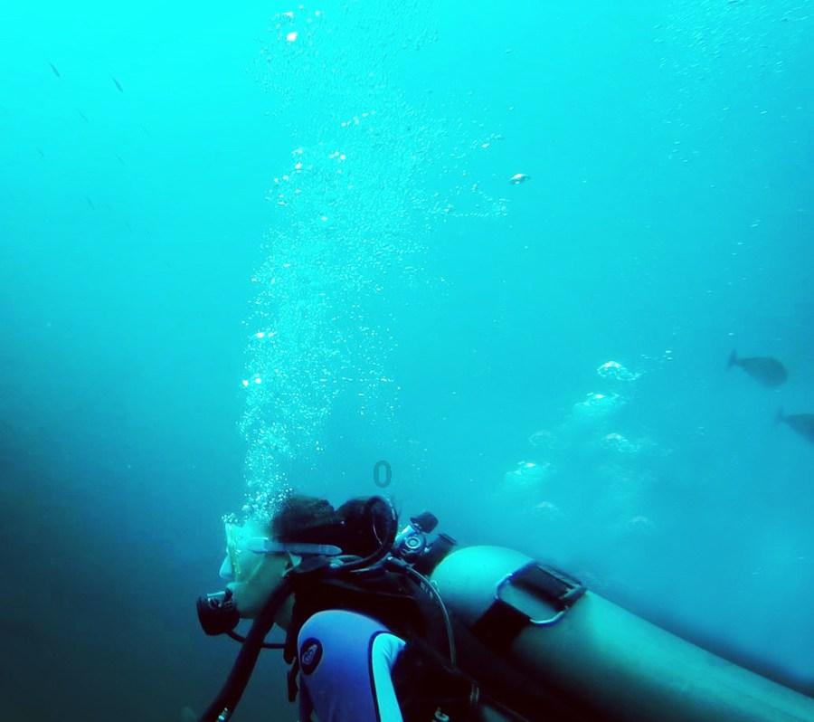 哈尔滨工程大学周学谦副教授受邀担任船海领域顶尖期刊《Ocean Engineering》期刊副主编