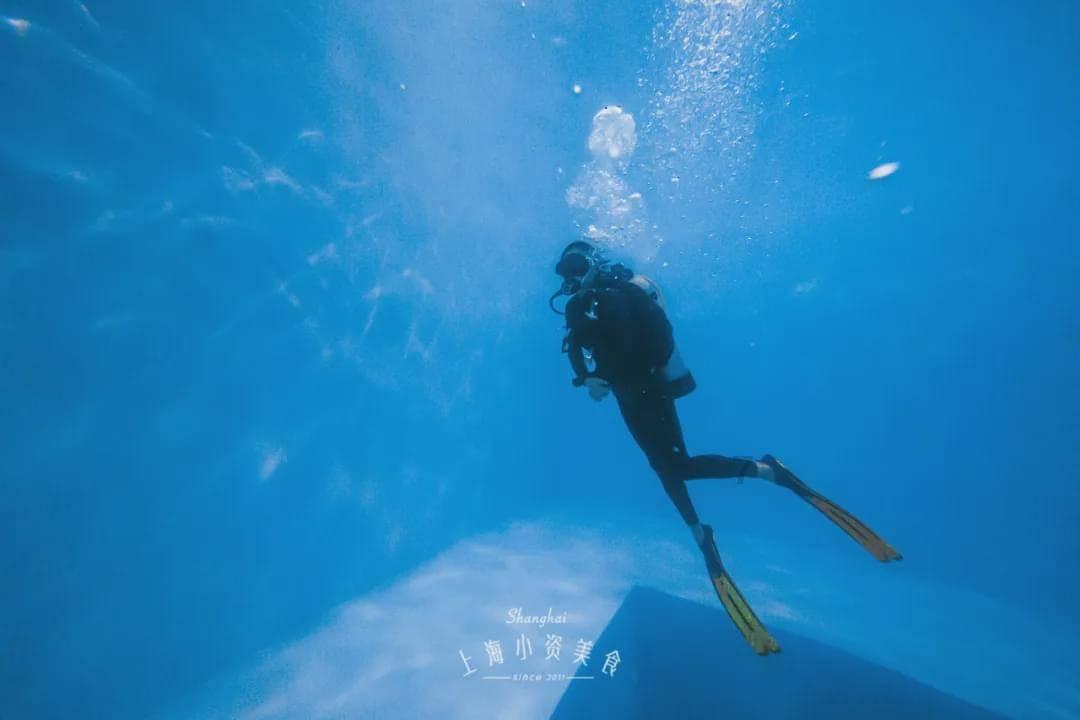 红葱水培需要施肥吗？