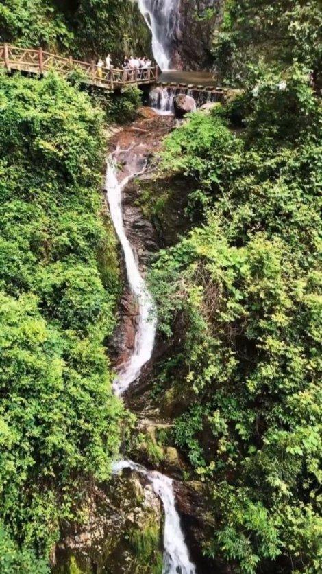 贵州医药卫生领域代表委员话心声(一)