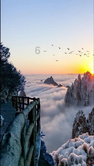 空闲农场
